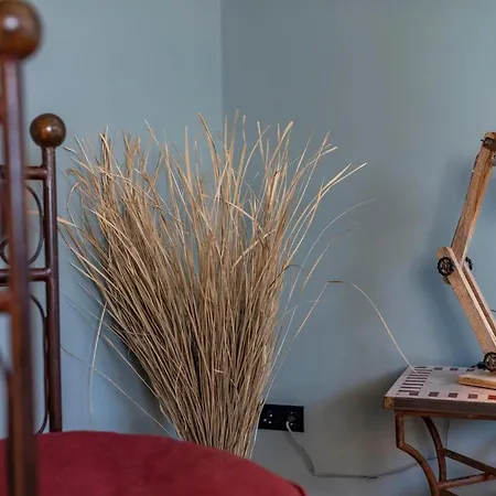 아파트 Jazz Cicero